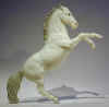 (c) Hilary Hurley