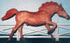 (c) Foxfire Grove Stables