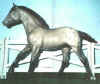 (c) Nicole Adriano, Foxfire Grove Stables