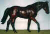 (c) Foxfire Grove Stables