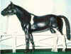 (c) Foxfire Grove Stables