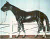 (c) Foxfire Grove Stables
