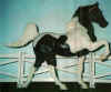 (c) Nicole Adriano, Foxfire Grove Stables