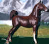 (c) Foxfire Grove Stables