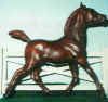 (c) Foxfire Grove Stables