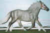 (c) Foxfire Grove Stables