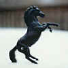 (c) Santa Fe Trail Stables