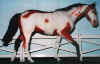 (c) Foxfire Grove Stables