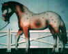 (c) Foxfire Grove Stables