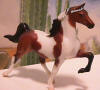 (c) mastoyshop