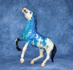 Glossy Electric Blue Sabino Semi-Rearing Mustang
