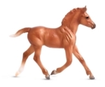 Playful Pony Family