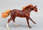 Playful Pony Family