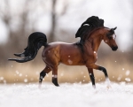 King of the Wind and Freedom Series Arabian Book & Horse Set