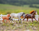 Sea Star and Playful Pony Family Book & Horse Set