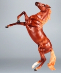 Chestnut Mustang