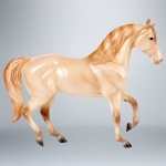 Champagne Quarter Horse Cross