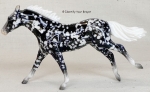 Mystery Horse Surprise