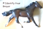 Exquisite Equines