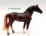 Colorful Collections Deluxe Horse Gift Set