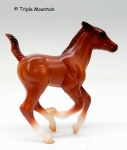 Colorful Collections Deluxe Horse Gift Set