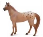 Appaloosa