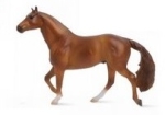 Quarter Horse