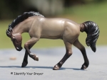 Handful of Horses