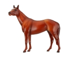 Man O' War