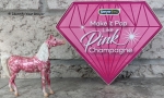Make it Pop Like Pink Champagne