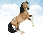 Buckskin Roan Appaloosa Desatado