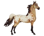 American Saddlebred 2000: American Saddlebred Stallion (25 years old)