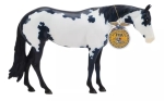 Emery - FFA Horse