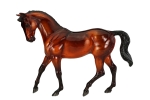 Maple