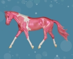 Merry Dancer