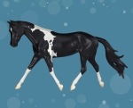 Merry Dancer