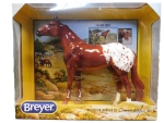 The Ideal Series - Appaloosa