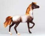 Flaxen Liver Chestnut Roan Mustang Mare