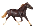 Liver Chestnut Test Pacer